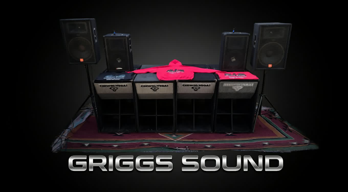 Thor — Griggs Sound mobile PA system